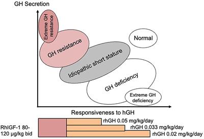 GH Resistance Is a Component of Idiopathic Short Stature: Implications for rhGH Therapy